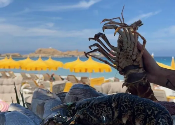 Superbe Maison Avec Piscine *