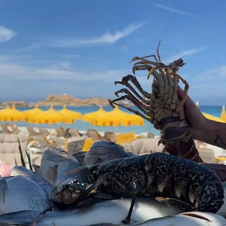 Superbe Maison Avec Piscine *